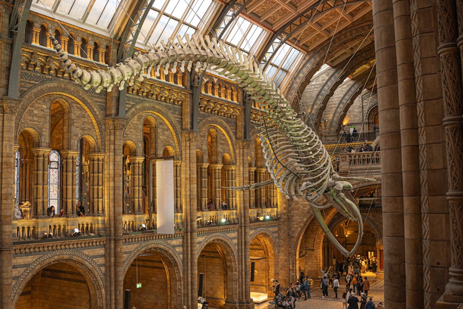 Inside a large gallery at the Natural History Museum, two prominent ancient stone columns with detailed carved surfaces are positioned on either side of the room near the foreground. The columns stand