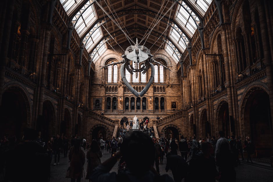 Inside a large, historic museum hall with high, arched glass ceilings supported by metal framework, a large whale skeleton is suspended from the ceiling with thick cables, positioned centrally beneath the glass roof. The skeletal remains include a prominent skull and ribcage, with the tail extending downward. The hall’s walls are made of brownish-red brick with decorative arches and columns lining the perimeter. Natural light filters through tall, narrow stained-glass windows, illuminating the space. In the background, a staircase leads to an upper gallery, with several visitors ascending or standing at the top, observing the exhibits. The foreground features numerous people walking or standing, some looking at the skeleton, while others engage in conversation or take photos. The overall scene captures the grandeur and detailed architecture of the museum interior, reflecting a setting where careful planning and logistical considerations are necessary for the transportation and installation of large, fragile exhibits, such as the whale skeleton, which Removal Van South Kensington may assist with as part of a specialized moving or museum deinstallation service. The environment emphasizes the scale, detail, and the indoor stage for shipping and handling of complex artifacts during home or institutional relocations.
