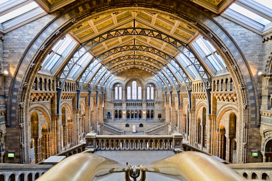 Inside a large, historic museum hall with high, arched glass ceilings supported by metal framework, a large whale skeleton is suspended from the ceiling with thick cables, positioned centrally beneath the glass roof. The skeletal remains include a prominent skull and ribcage, with the tail extending downward. The hall’s walls are made of brownish-red brick with decorative arches and columns lining the perimeter. Natural light filters through tall, narrow stained-glass windows, illuminating the space. In the background, a staircase leads to an upper gallery, with several visitors ascending or standing at the top, observing the exhibits. The foreground features numerous people walking or standing, some looking at the skeleton, while others engage in conversation or take photos. The overall scene captures the grandeur and detailed architecture of the museum interior, reflecting a setting where careful planning and logistical considerations are necessary for the transportation and installation of large, fragile exhibits, such as the whale skeleton, which Removal Van South Kensington may assist with as part of a specialized moving or museum deinstallation service. The environment emphasizes the scale, detail, and the indoor stage for shipping and handling of complex artifacts during home or institutional relocations.