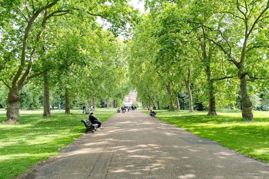 A tree-lined pathway in a park during daytime, with lush green foliage overhead and on either side. Several people are seated on black park benches along the paved walkway, some resting and others engaging in conversation. In the background, a few individuals are walking, cycling, and carrying shopping bags, while others stand or sit further down the pathway. The scene is well-lit with natural sunlight filtering through the leaves, creating dappled shadows on the ground. The area appears peaceful and tidy, reflecting a typical setting for relaxation and leisure in an urban park, possibly adjacent to residential or commercial properties in South Kensington. The image evokes a sense of calm and orderly movement, relevant to home relocation and furniture transport processes managed by Removal Van South Kensington, highlighting the importance of planning and logistics during packing and moving activities in such environments.